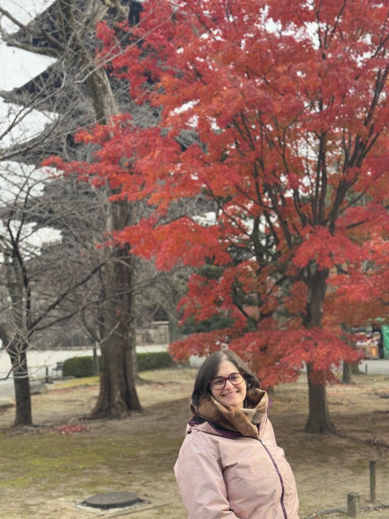 Arces rojos en otoño en Japón